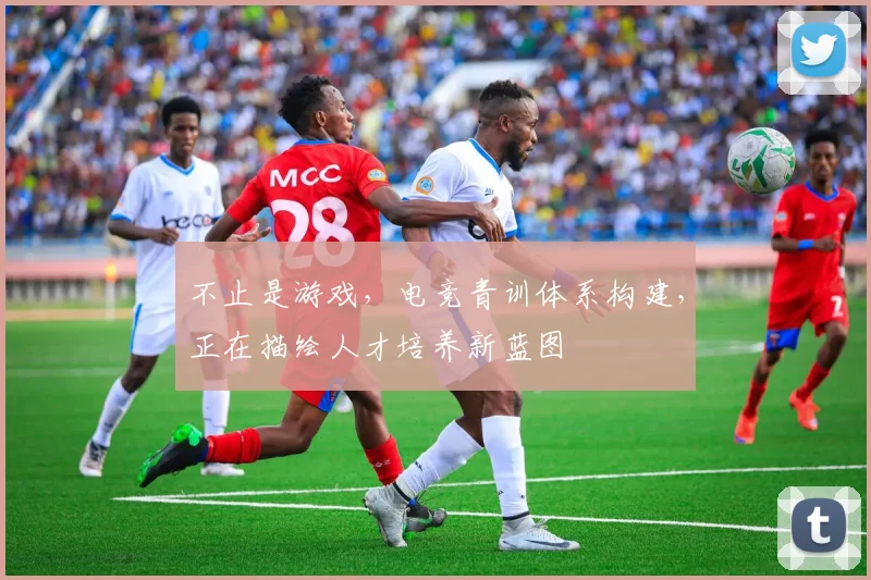 不止是游戏，电竞青训体系构建，正在描绘人才培养新蓝图